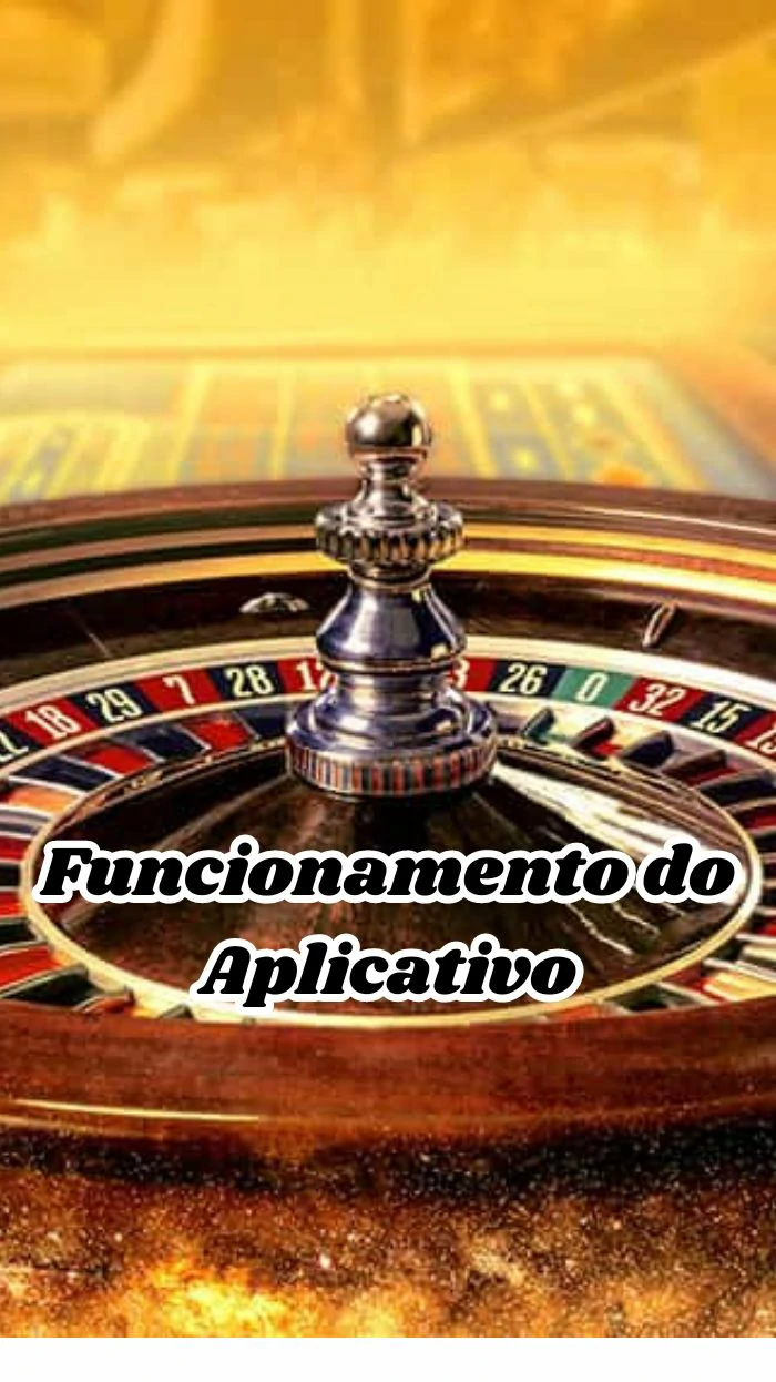 Funcionamento do Aplicativo